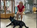 Cinou die fröhliche Mischlingshündin sucht ihr Für-immer-Zuhause 🐾❤️