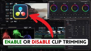 How to Enable or Disable Clip Triming in DaVinci Resolve 2025?