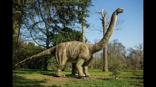 Brontosaurus Sounds