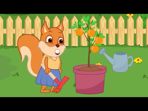 Bridie Squirrel en Español - Favoritos del Sol