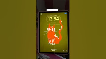 How to Change iPad Wallpaper on Rotation 🔄 Dynamic Home Screen Trick #procreate #drawing