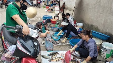 Cá Hồ Thủy Điện Thác Bà Tại Chợ Sép Thác Bà,Tuyên Quang TV 