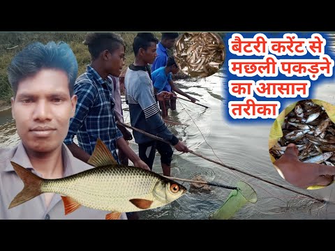 वीडियो: मछली को बैटर में कैसे पकाएं