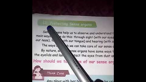 3std SCIENCE TERM1 PROTECTING SENSE ORGANS