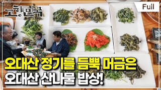 [Full] 고향민국  평창, 오대산의 선물