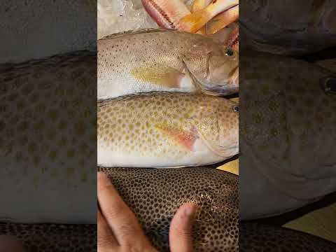 انواع سمك الوقار و ازاى افرق بينهم