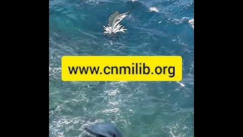 2021 Joeten-Kiyu Public Library Summer Reading Program commercial