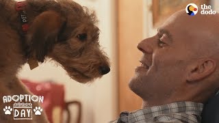 Airedale Puppy Hits The Jackpot With Her New Family | The Dodo Adoption Day