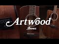 Artwood Series | Ibanez Acoustic