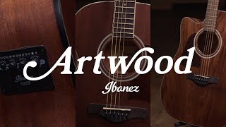 Artwood Series | Ibanez Acoustic