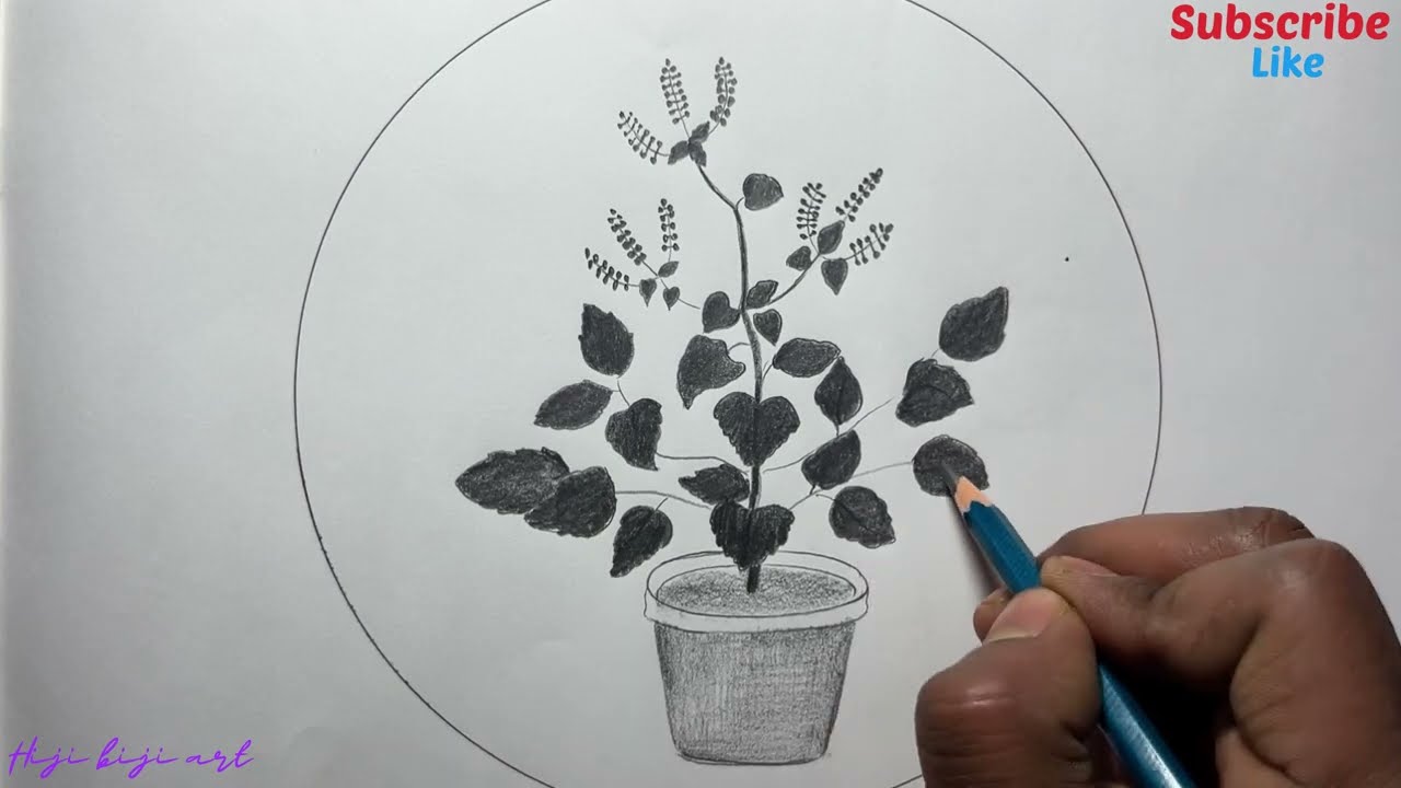 How To Draw Tulsi Vivah Drawing // Tulsi Vivah Festival Drawing // Step By  Step // Pencil Drawing