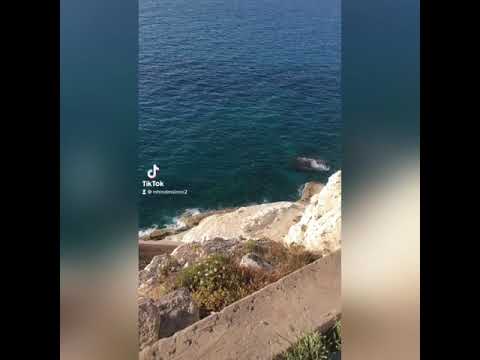 شحادين يا بلدنا شوشو