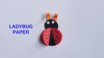 Cách làm con bọ rùa | How to make ladybug