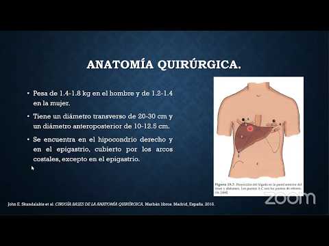 ANATOMÍA QUIRÚRGICA DE