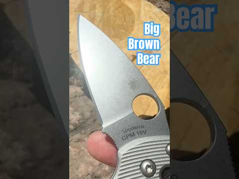 Spyderco September: Day 6️⃣ - Manix 2 LW  