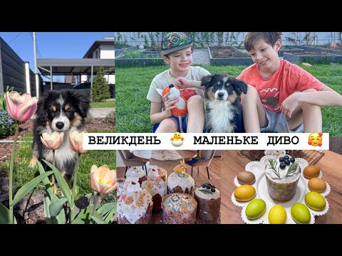 У НАС ПОПОВНЕННЯ 😲🥰 Підготовка до ВЕЛИКОДНЯ 🐣 Квест для діток 👍 ГОРОДНІЙ сезон ВІДКРИТИЙ 🌱