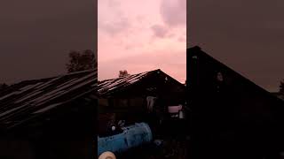 загадки природы