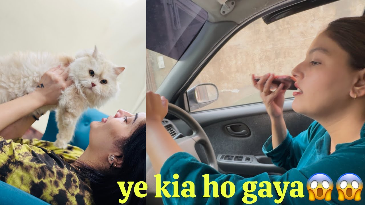 Behen Aayi Ghar 😍 | Cats & Lost Keys Drama😂