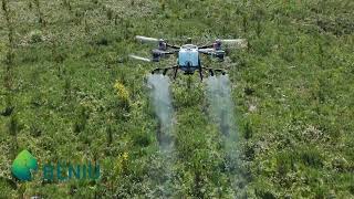 Tratamientos abono foliar con drone en Pinos de Galicia