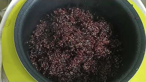 Thèm món cơm gạo lứt, diêm mạch, hạt kê tự nấu