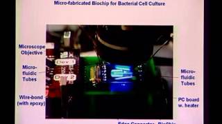 Mod-01 Lec-39 Lecture-39