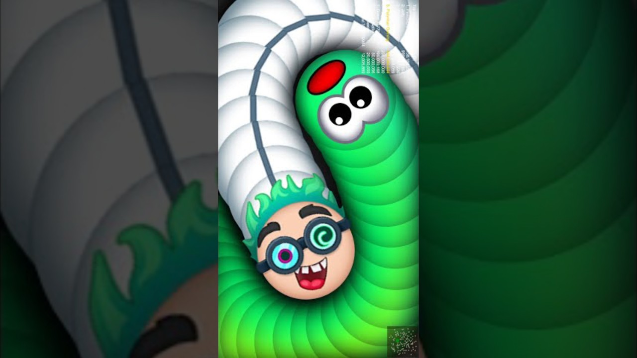 Worms zone io worms zone magic game play snake game saamp wala game Tiger Gamer Rock..