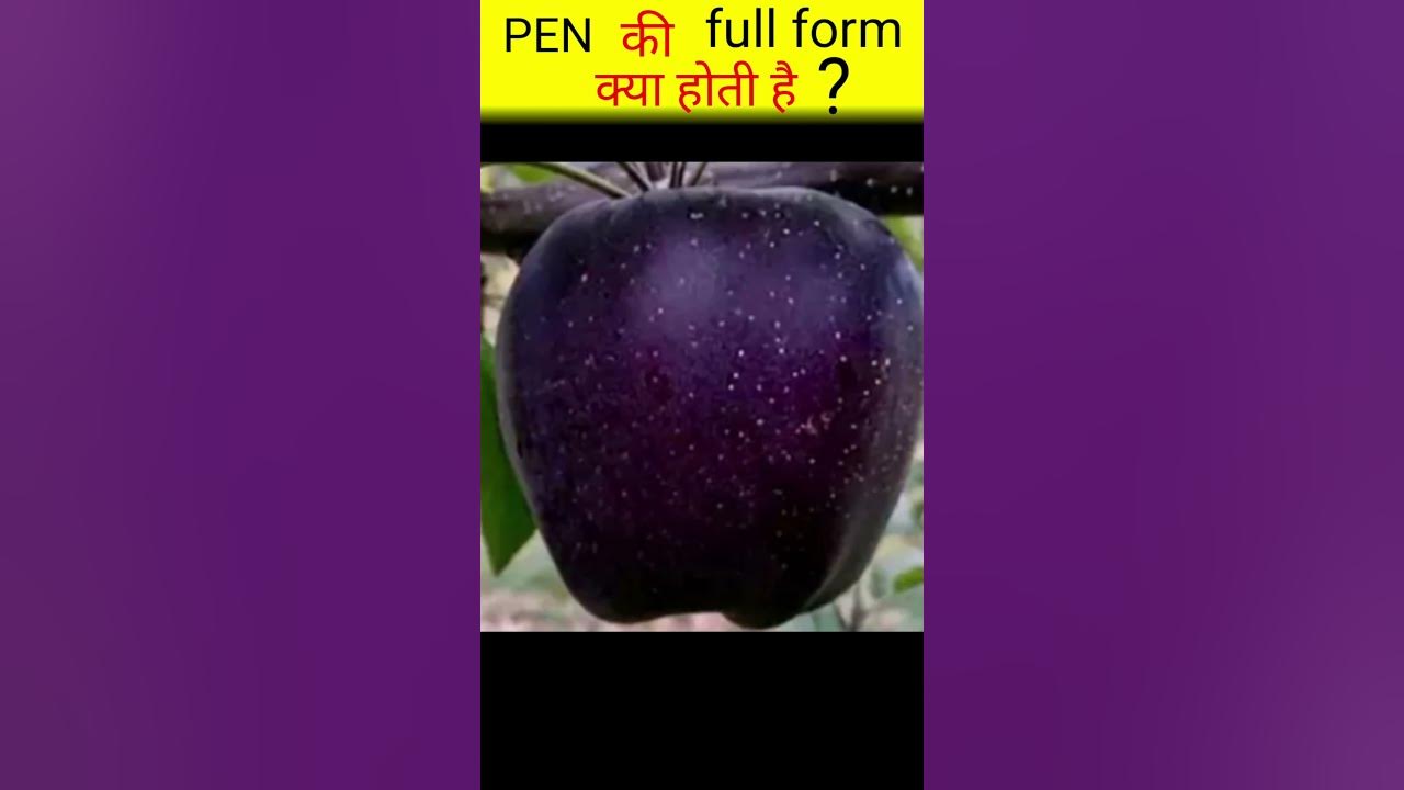 Pen Ki Full Form Kya Hoti Hai facts shortvideo YouTube pen-ki-full-form-kya-hoti-hai-facts-shortvideo-youtube