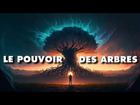 Vidéo: Reproduction de l'arbre à fumée : En savoir plus sur la propagation des arbres à fumée