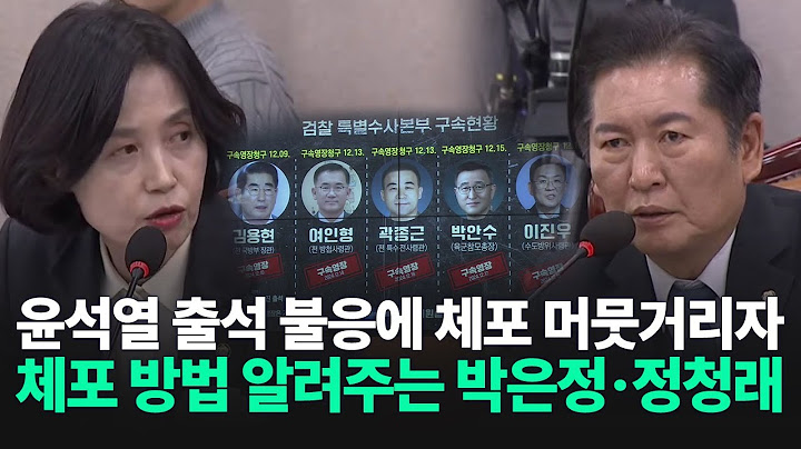 윤석열 출석 불응에 체포 머뭇거리자 체포 방법 알려주는 박은정·정청래 의원