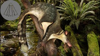 The Mystery of New Zealand's only Native Land Mammal