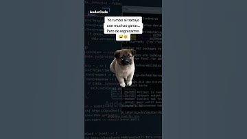 #Meme #andercode #developer #programacion #python #novia #humor #esposa