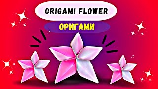 Origami flower 🌺|How to Fold: Origami Flower | Do It Yourself