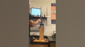 Double inverted pendulum stabilization (push)