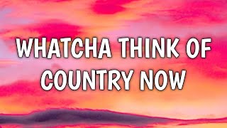 Morgan Wallen - Whatcha Think Of Country Now (Lyrics)