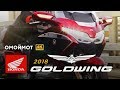 Honda GL 1800 Gold Wing Tour DCT 2018 — обзор Омоймот