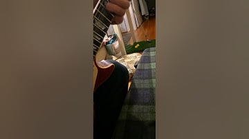 How to keep your Gibson Les Paul in tune along with a string Butler review (part 2)