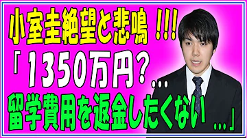 株式会社リクスタ評判ステマ小山和子悪徳名字由来net Mp3 株式会社リクスタ評判ステマ小山和子悪徳名字由来net Mp3
