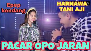 PACAR OPO JARAN - EPEP kendang Ft HARNAWA TANI AJI - new kandedes