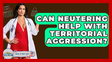 Can Neutering Help With Territorial Aggression? - Ask A Pet Vet