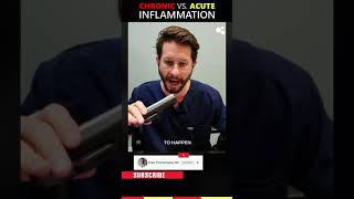 Chronic vs  Acute Inflammation