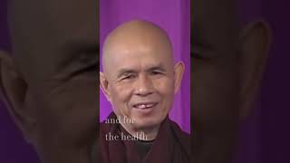 Go Back to Your Breahing, Transform Your Anger | Thich Nhat Hanh | #shorts #plumvillageapp