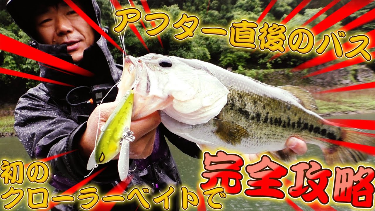 ドラウンドクローラーでビッグバスを釣りたい！フラッシュユニオンの