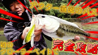 ドラウンドクローラーでビッグバスを釣りたい！フラッシュユニオンの