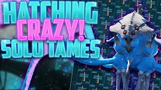 Hatching Crazy Top Stat Tames In Ark Solo Small Tribes