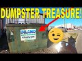 TREASURE HUNTING with VidVulture and Robinhood