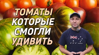 видео: ЭТИ СОРТА СМОГЛИ МЕНЯ УДИВИТЬ! картинка: ЭТИ СОРТА СМОГЛИ МЕНЯ УДИВИТЬ!