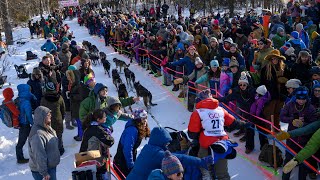 Iditarod 2023 ceremonial start: Racers ramp up and fans party
