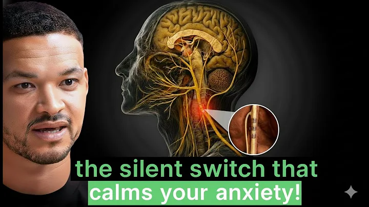 The Hidden Nerve That Controls Trauma, Mood & Emotional Pain! [Steven Bartlett] Motivational speech