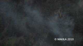 Forest Fire In Anniviers - 10Th June 2010