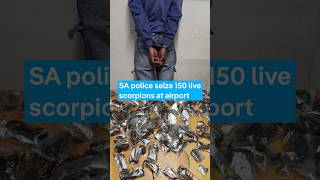 South African police seize 150 live scorpions at airport